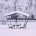 ���� ����, ��������, 49 ��� - ��������� 2 ������� 2014 � ������ ������ ��������