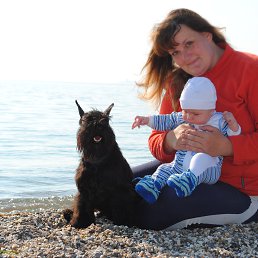 ��������, ���������, 44 ����