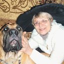 ���� �����, �����, 69 ��� - ��������� 11 ����� 2014 � ������ ������ ��������