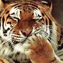 ���� �������, ���� - ��������� 13 ������ 2013 � ������ �Leo�