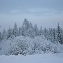 -64  !