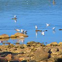 ������� ����� �� ������� ������ 2013�