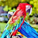 ���� ��������, ������������, 78 ��� - ��������� 13 ������� 2013 � ������ �������������(���� ������ 12-10-13)�