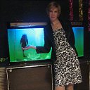 ���� ���������, ������� - ��������� 28 ������� 2013 � ������ ���� ����������