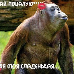 ���� ���������, ������, 50 ��� - ��������� 17 ������� 2013