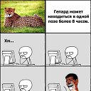 ���� ���, ������ - ��������� 6 ����� 2014 � ������ ������ ��������