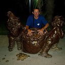 ����������.