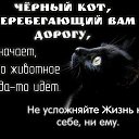 ���� Nataliia, �������, 40 ��� - ��������� 11 ������� 2013 � ������ ���� ����������