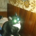 ���� Aleksey, �����-���������, 37 ��� - ��������� 12 ������ 2014 � ������ ���� ����������