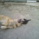 ��� ��������� �� ������� ���� ����������