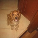 ���� �����, �������, 24 ���� - ��������� 13 ������� 2013 � ������ ���� ����������