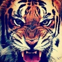 ���� Reyhan, ������, 30 ��� - ��������� 9 ������� 2013