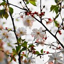 ���� ������, �����-���������, 61 ��� - ��������� 31 ������� 2013 � ������ ������� ������ 2013�