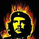 ���� ������, �����������, 51 ��� - ��������� 30 ������ 2014 � ������ ���� ����������