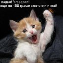 ���� �����, �����-��������� - ��������� 25 ������� 2013 � ������ ������ ��������