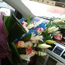 ��� ��� - ������� �������! �� ������� ���� ����������