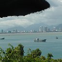           2013
