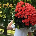 ���� �����, ������, 46 ��� - ��������� 8 ������� 2013 � ������ ���� ����������