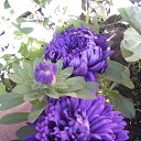 ���� �������, ����-���, 63 ���� - ��������� 19 �������� 2013 � ������ ���� ����������