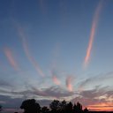  , , 68  -  7  2013      .