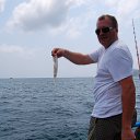 ���� �������, ������, 52 ���� - ��������� 6 ����� 2014 � ������ �������� ������� 2014�