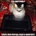 ���� �������, ��������, 68 ��� - ��������� 23 ������� 2014 � ������ ������ ��������