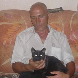 ��������, ����, 53 ����