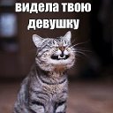 ���� ������ ���������, ��������, 49 ��� - ��������� 7 ������� 2014 � ������ ���� ����������