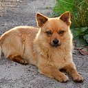 ���� �������, ���������, 52 ���� - ��������� 14 ������� 2013 � ������ ���� ����������