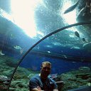 ���� ���������, ����������� - ��������� 3 ����� 2014 � ������ ���� ����������