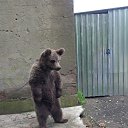 ���� ������, �������� - ��������� 30 �������� 2013 � ������ ���� ����������