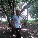 ���� ������, ��������������, 34 ���� - ��������� 16 ������ 2013 � ������ ���� ����������