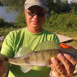 ���� �������, ������, 53 ���� - ��������� 16 ������ 2013