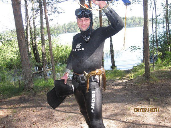  :  , 51 , -