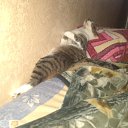 ���� Oleg, ������, 42 ���� - ��������� 24 ������� 2014 � ������ �ǻ