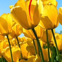 ���� Sergei, ������, 46 ��� - ��������� 19 ������ 2014