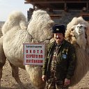 ���� ������, ���������, 67 ��� - ��������� 16 ������� 2013 � ������ ���� ����������