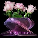 ���� ����, ������ - ��������� 22 ������� 2014 � ������ ������ ��������