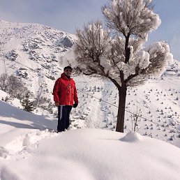 ���� Hosein, ������, 55 ��� - ��������� 11 ������� 2014