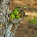 ���� ����, �����-���������, 58 ��� - ��������� 12 ������� 2013 � ������ ���� ����������