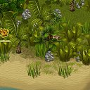   , , 36  -  17  2013   Tropikania