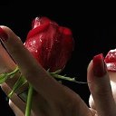 ���� ����������� ..., ������, 46 ��� - ��������� 2 ������ 2013 � ������ ���� ����������