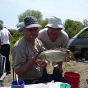 ���� ������, ���������, 57 ��� - ��������� 11 ������� 2014 � ������ ���� ����������