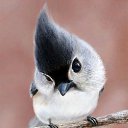 ���� ����, ���, 23 ���� - ��������� 8 ������ 2014 � ������ ���� ���� ������