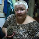 ���� �����, ������, 53 ���� - ��������� 28 ������� 2013 � ������ ���� ����������