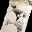 ���� ����, ���������, 33 ���� - ��������� 27 ������� 2013 � ������ ���� ����������