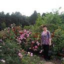 ���� ������, �����, 65 ��� - ��������� 6 ������� 2014 � ������ ���� ����������