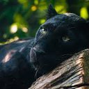 ���� ������, ������ - ��������� 15 ����� 2014 � ������ ��������.�