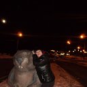 ���� �����, ����������, 39 ��� - ��������� 14 ������ 2014 � ������ ���� ����������