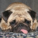 ���� ���������, ���������������, 61 ��� - ��������� 4 ������� 2014 � ������ �������